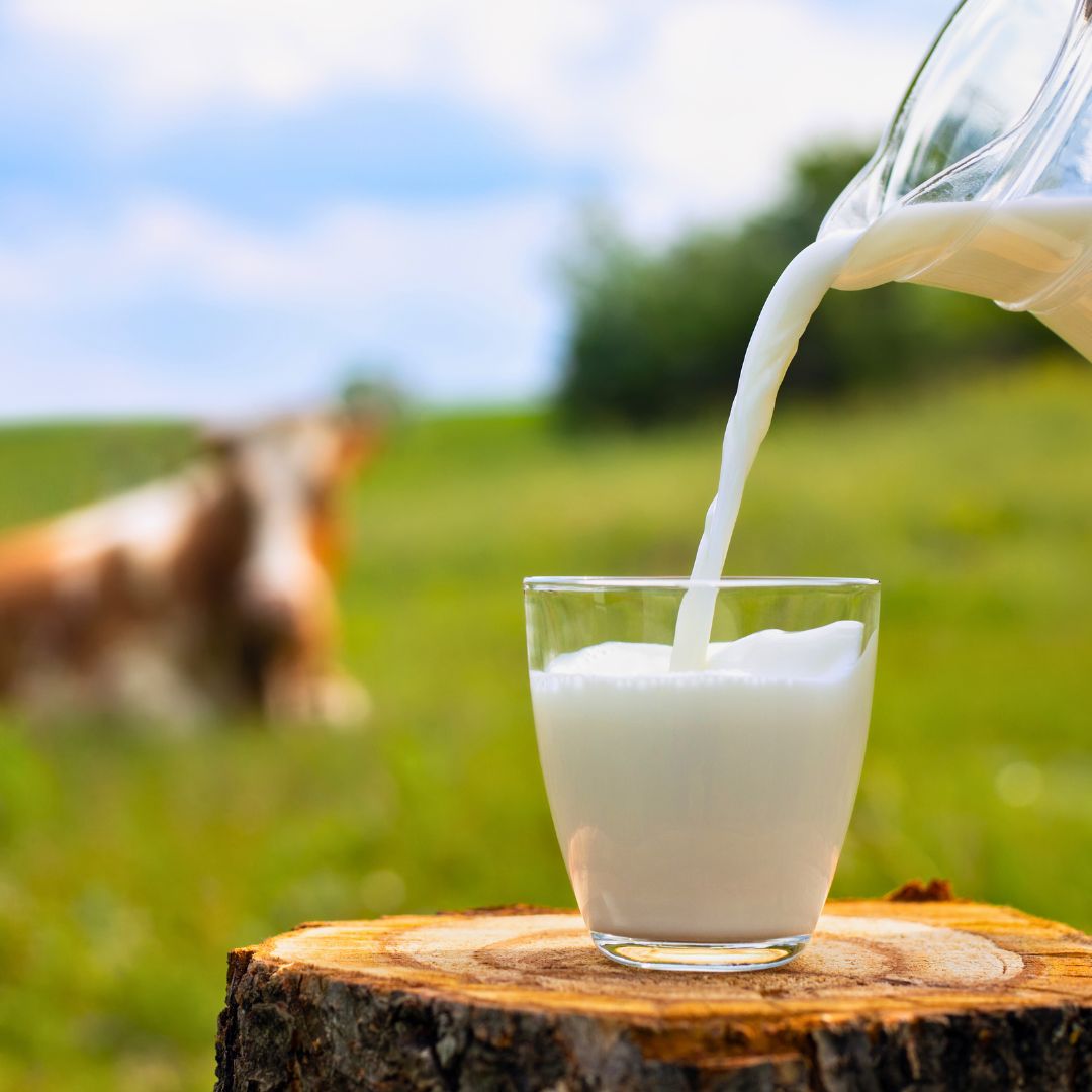 Milk in Glass Bottles for a Reason