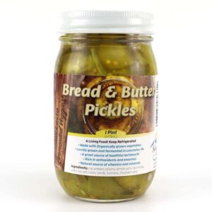 Lacto-Fermented Bread And Butter Pickles | From Organically Farmed Cucumbers | 16 oz Pint