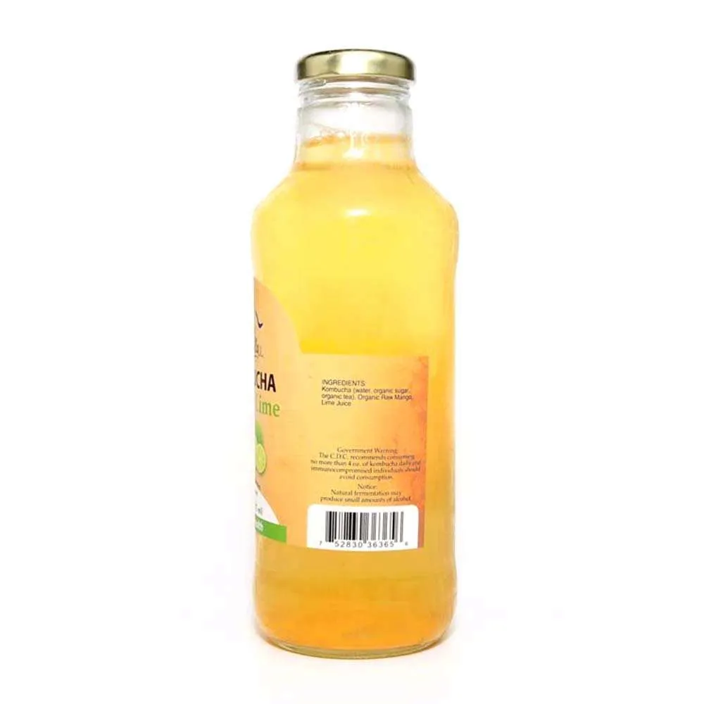 16oz. Mango Lime Kombucha - Image 2