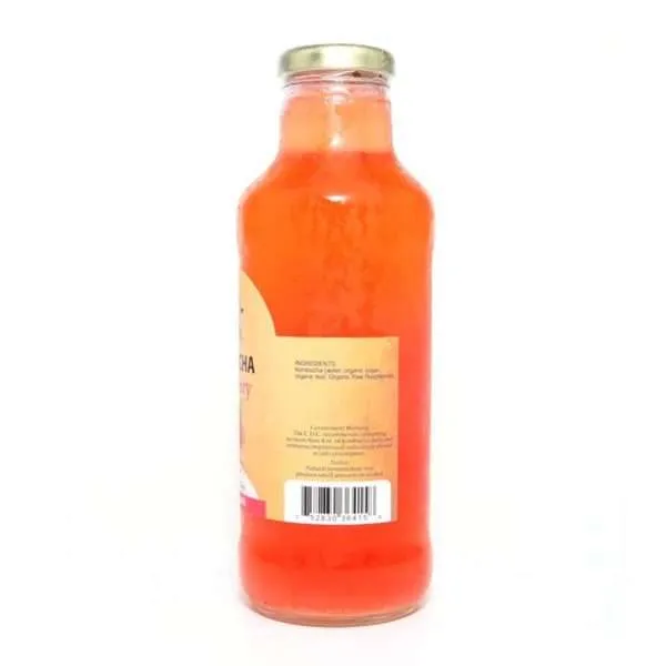 16oz. Raspberry Kombucha - Image 2