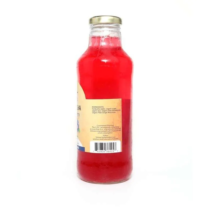 16oz. Blueberry Kombucha - Image 2
