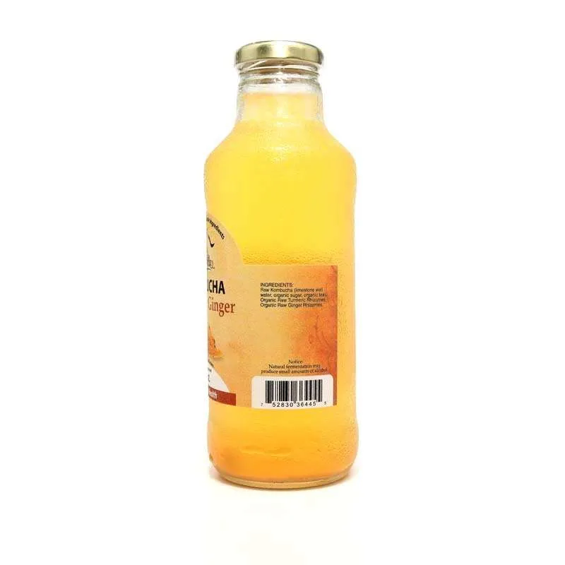 16oz. Tumeric Ginger Kombucha - Image 2