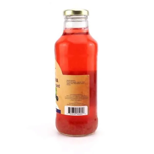 16oz. Black Currant Kombucha - Image 2