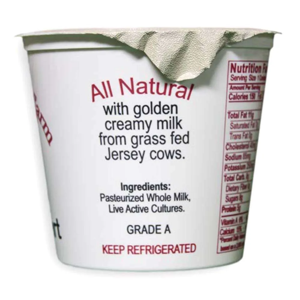 Plain Yogurt | From Grass Fed Jersey Whole Milk - Image 2
