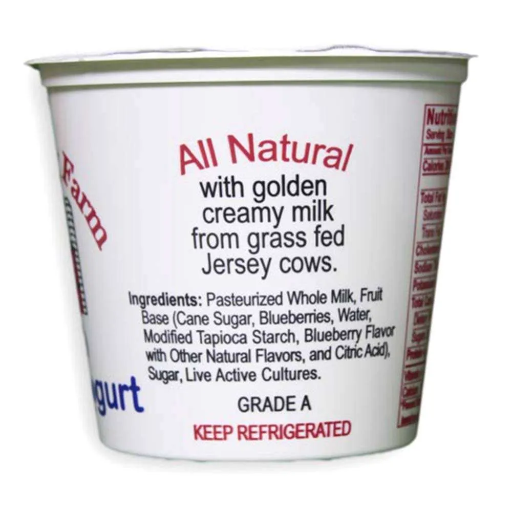 Blueberry Yogurt | From Grass Fed Jersey Whole Milk - Image 2