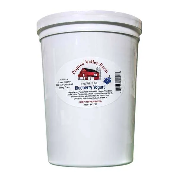 Blueberry Yogurt | From Grass Fed Jersey Whole Milk | 5lb