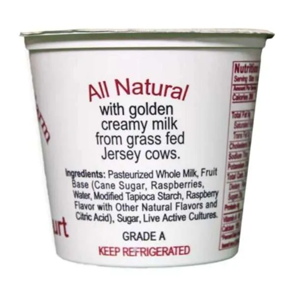 Raspberry Yogurt | From Grass Fed Jersey Whole Milk - Image 2