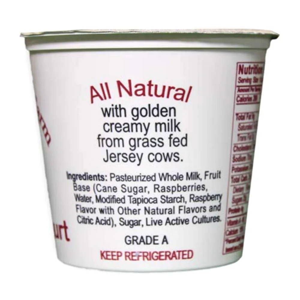 Raspberry Yogurt | From Grass Fed Jersey Whole Milk - Image 2