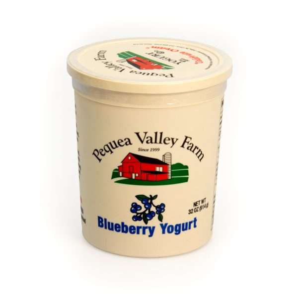 32 oz Blueberry Yogurt