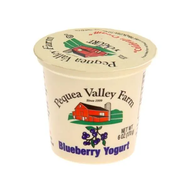 Blueberry Yogurt | From Grass Fed Jersey Whole Milk | 6 oz