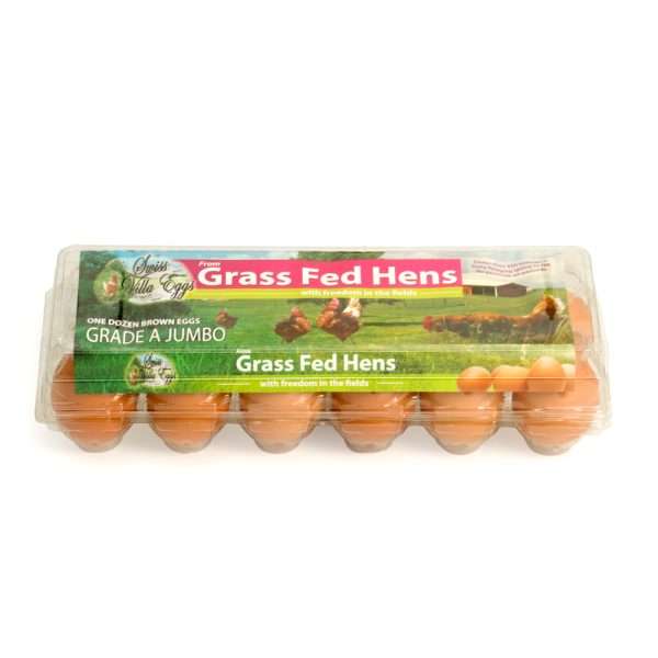 1 Dozen Grass Fed Jumbo Eggs in Plastic Carton