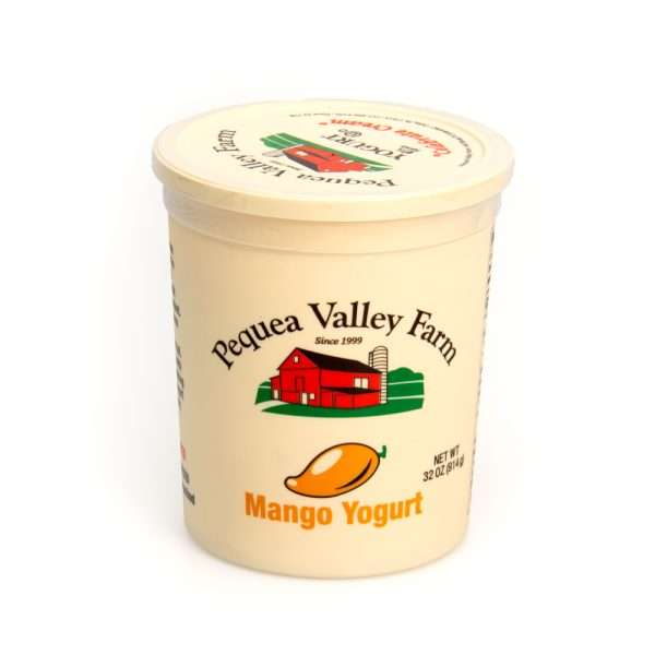 32 oz. Mango Yogurt