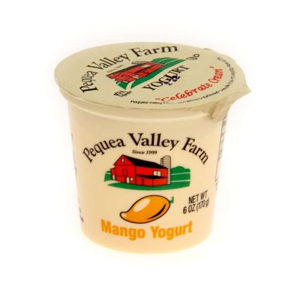 6 oz Mango Yogurt