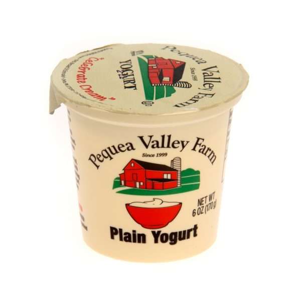 6 oz Plain Yogurt